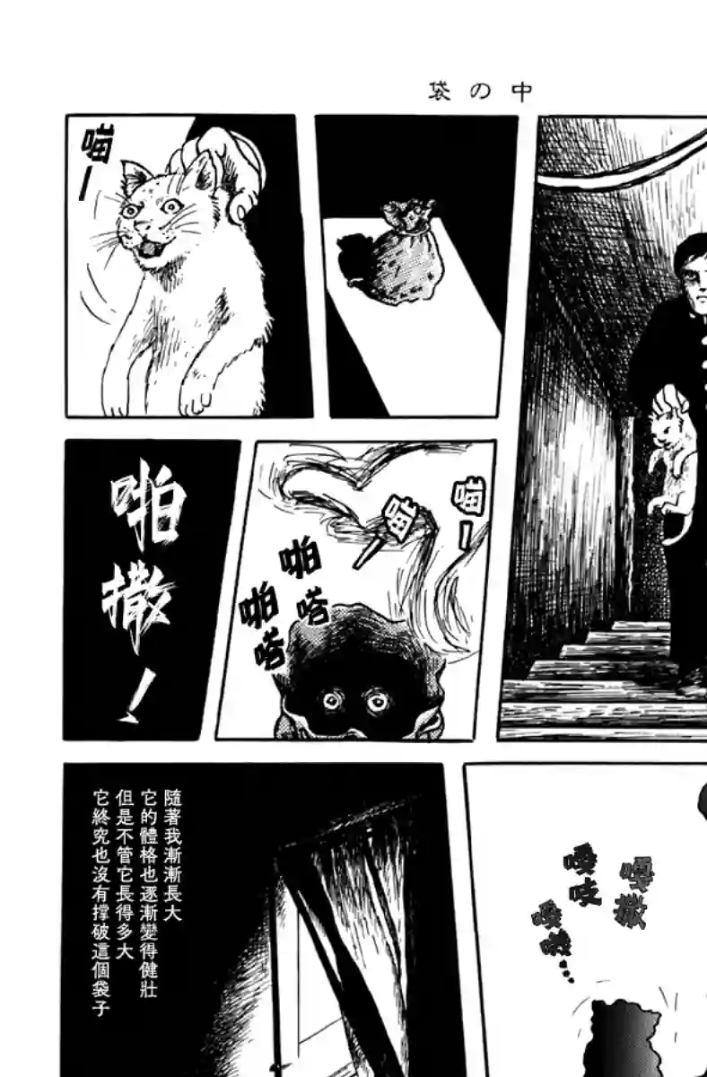 诸星大二郎短篇袋中黑影