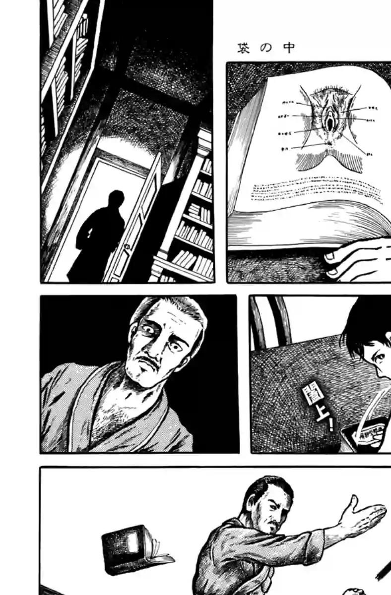 诸星大二郎短篇袋中黑影