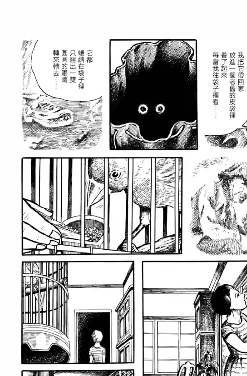 诸星大二郎短篇袋中黑影