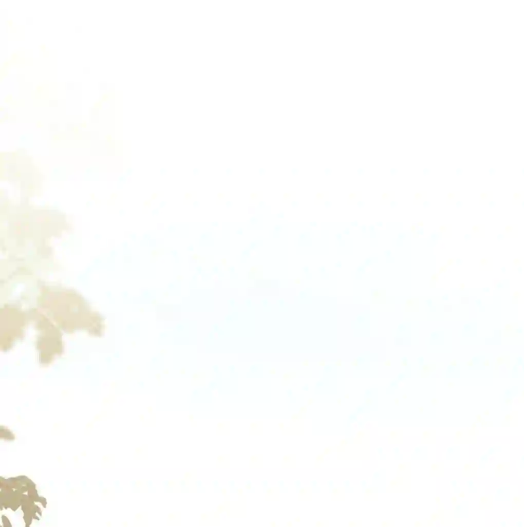 月亮被遮住的日子第12话