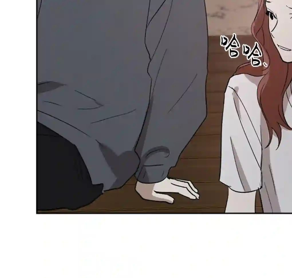 月亮被遮住的日子第12话