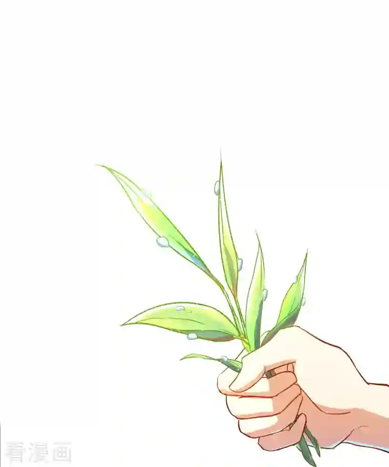 修真聊天群第15话 我那与众不同的炼丹炉