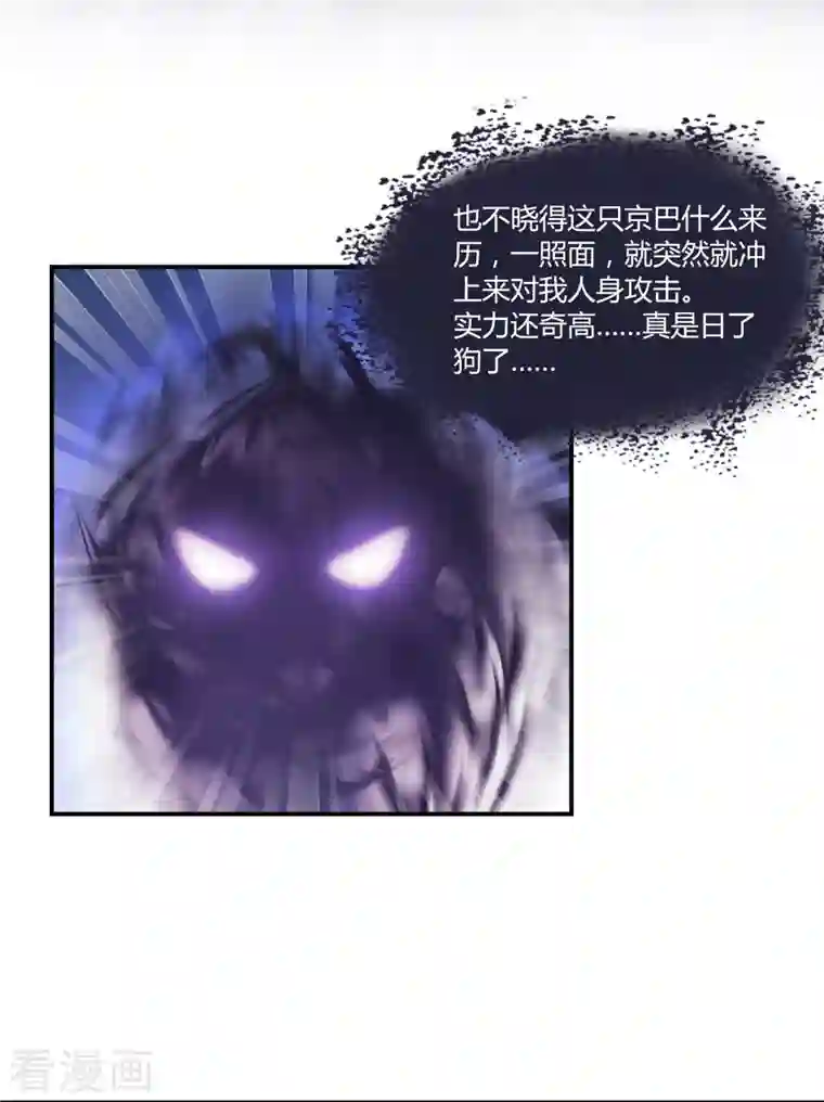 修真聊天群第61话 掳走“苏氏阿十六”