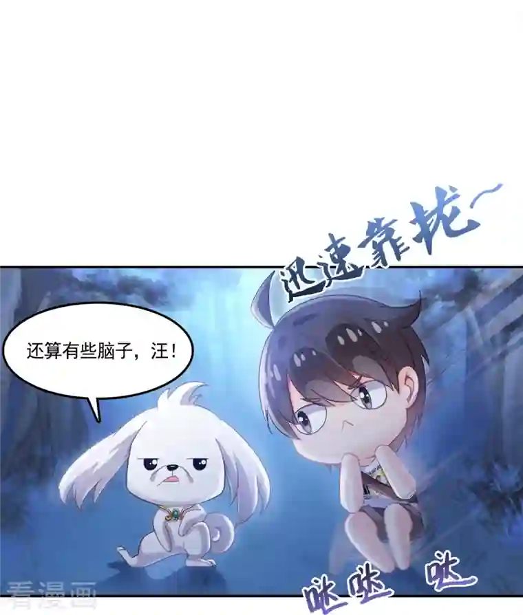 修真聊天群第76话 豆豆 白真君！