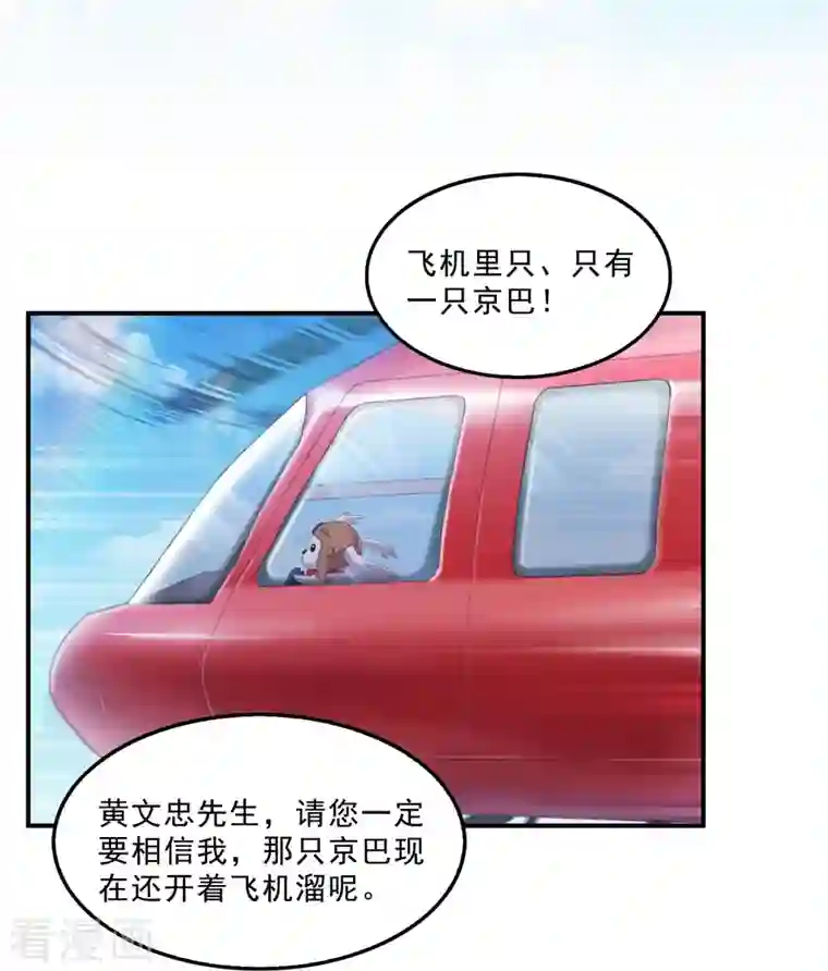 修真聊天群第133话 有只京巴在开飞机！