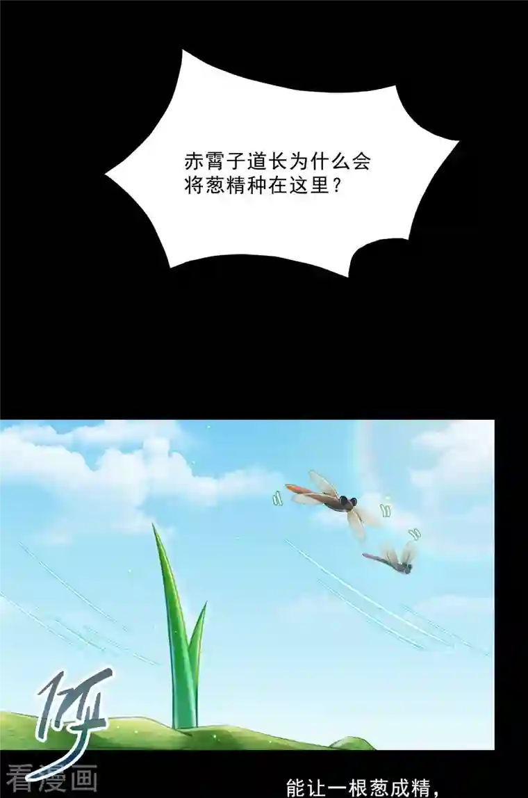 修真聊天群番外1 入梦