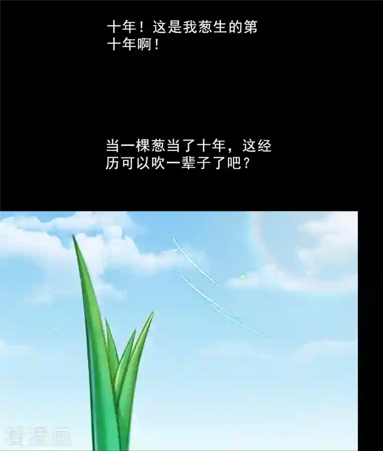 修真聊天群番外3 假如我是一根葱？