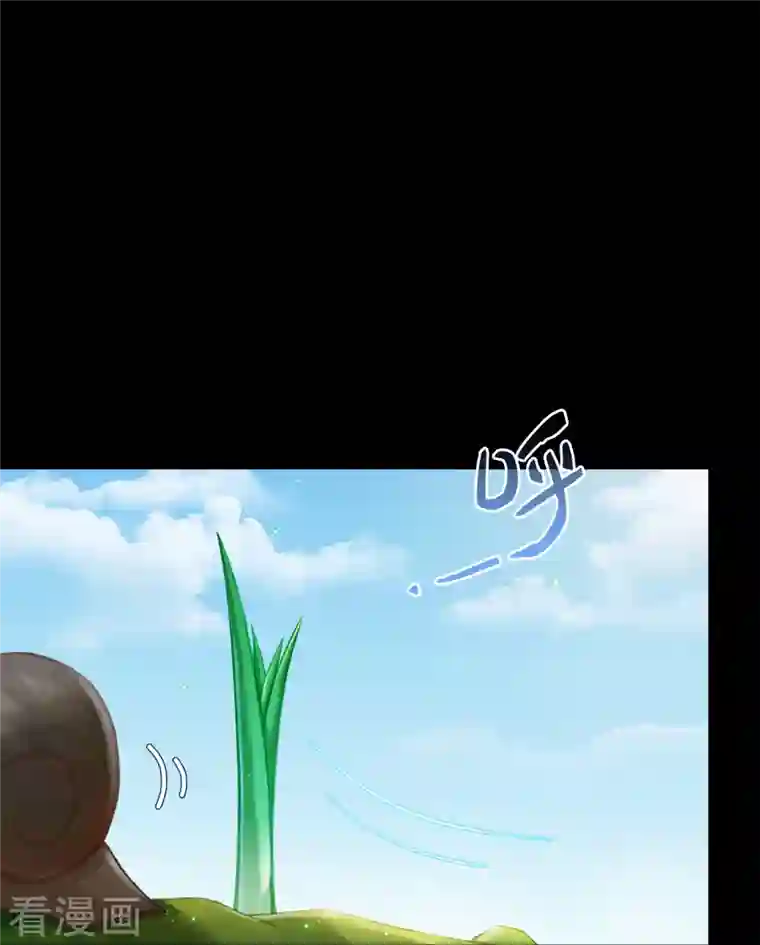 修真聊天群番外4 我是一根葱