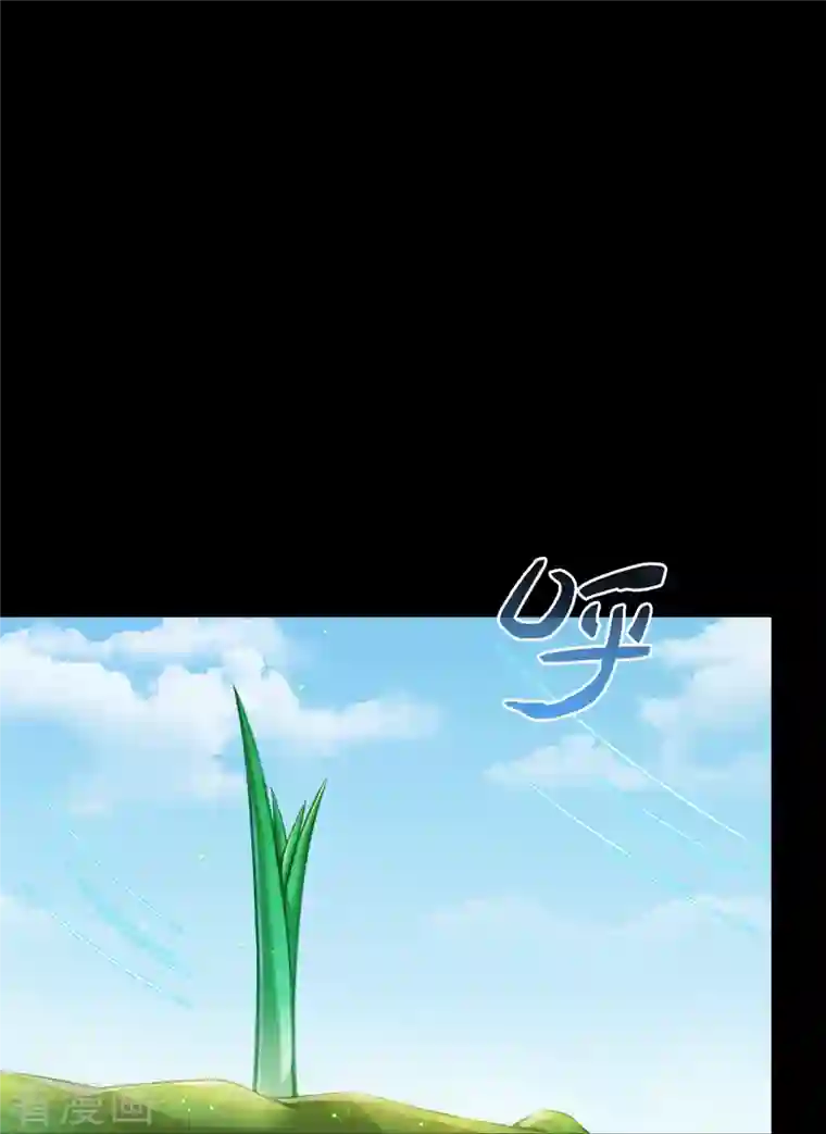 修真聊天群番外4 我是一根葱