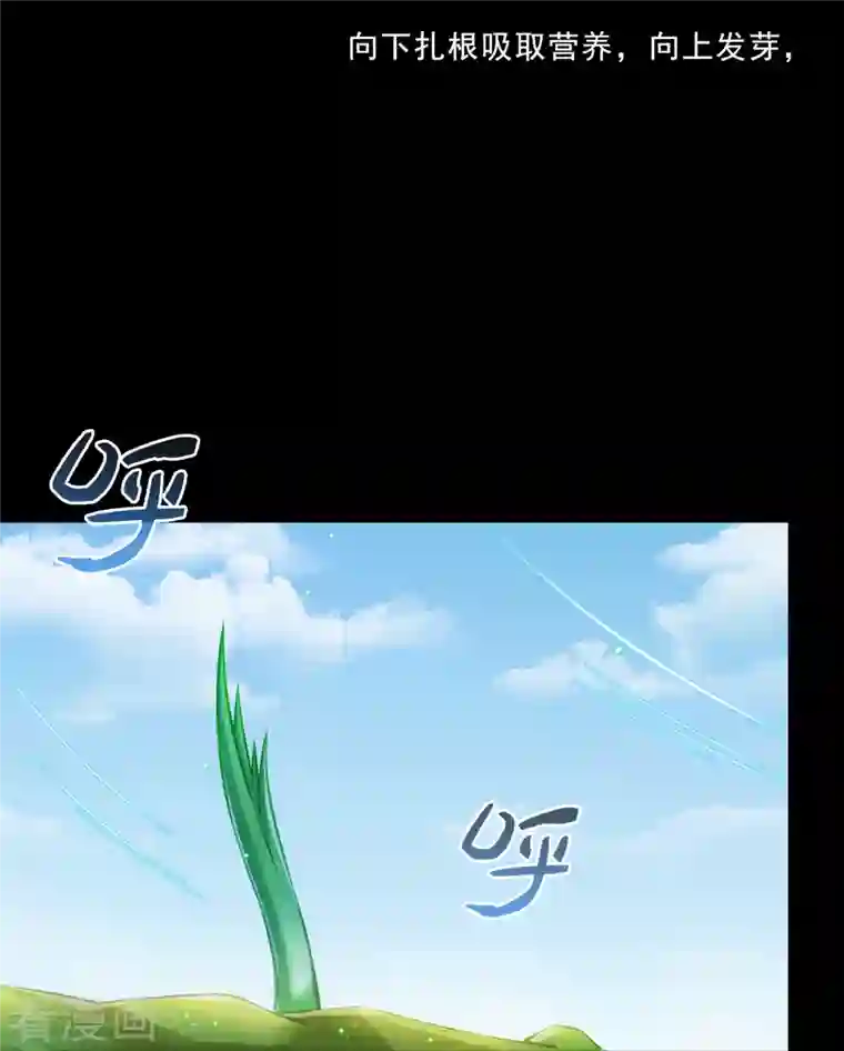 修真聊天群番外4 我是一根葱