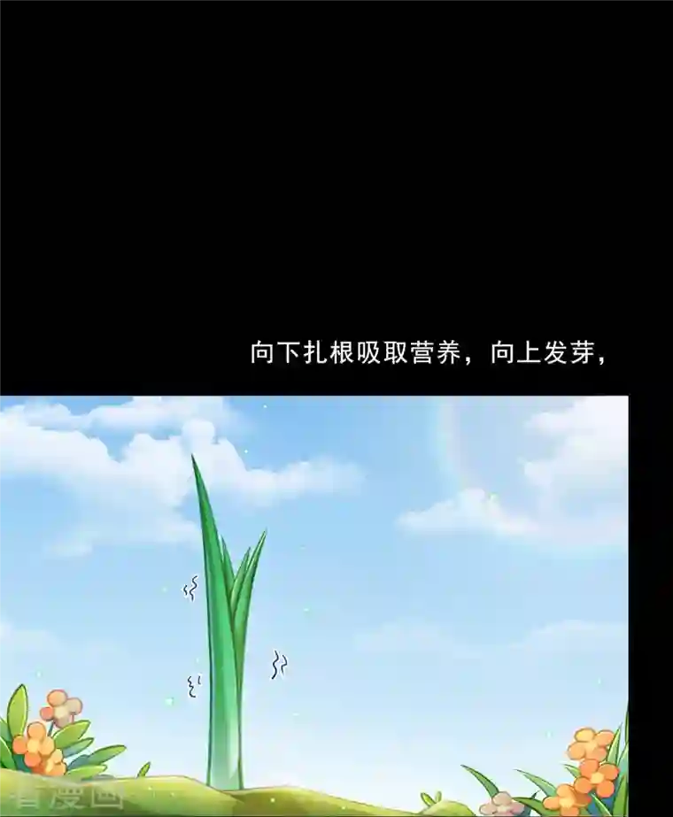 修真聊天群番外4 我是一根葱