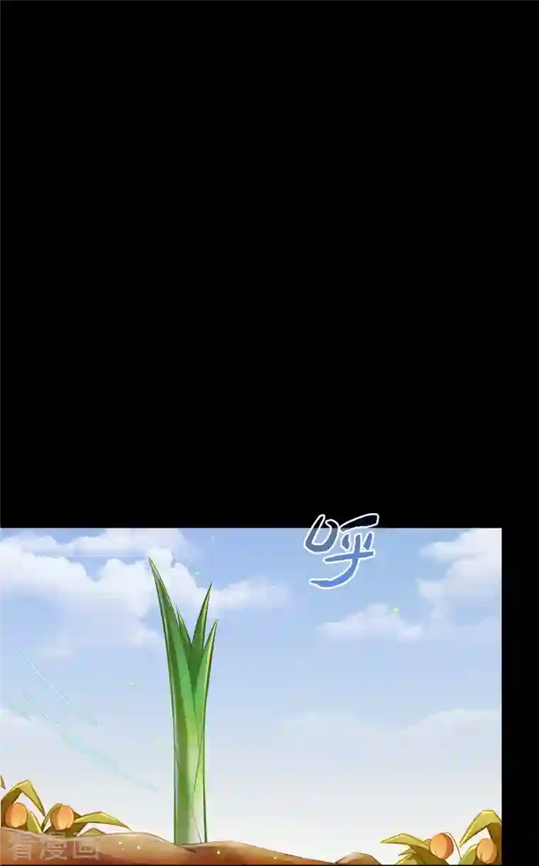 修真聊天群番外5 我？是一根葱？