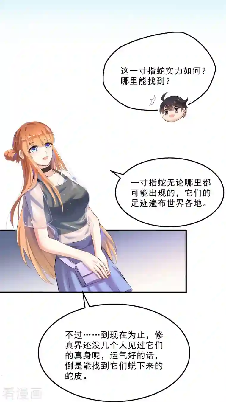 修真聊天群第158话 给白前辈上香