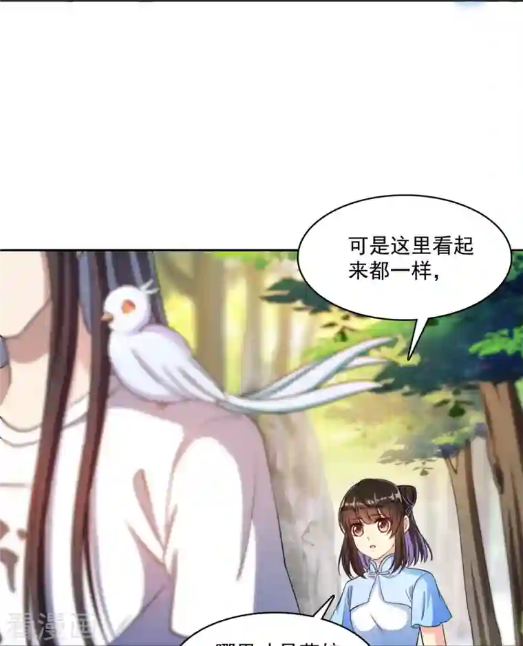 修真聊天群第402话 桃花，你最爱的人是不是我？