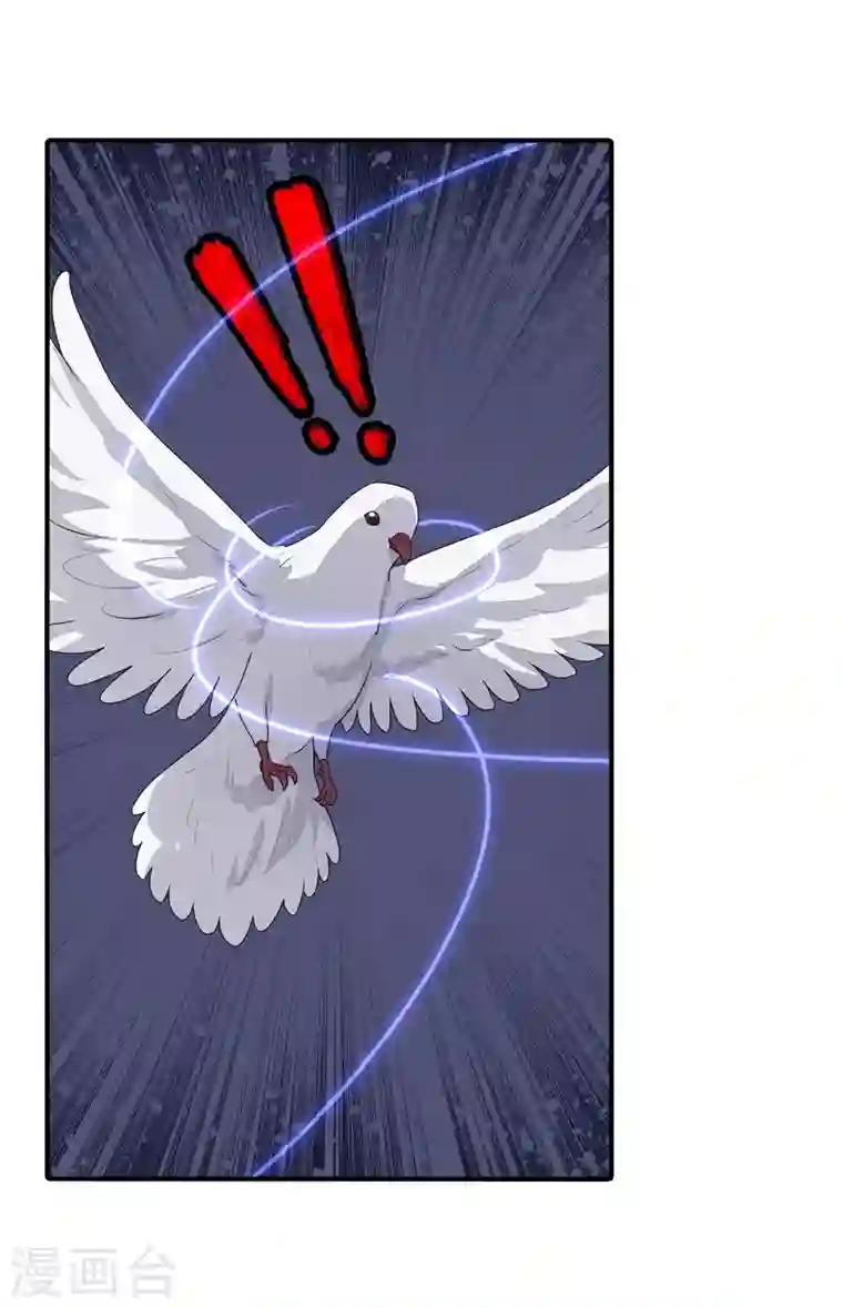 我的守护女友第157话