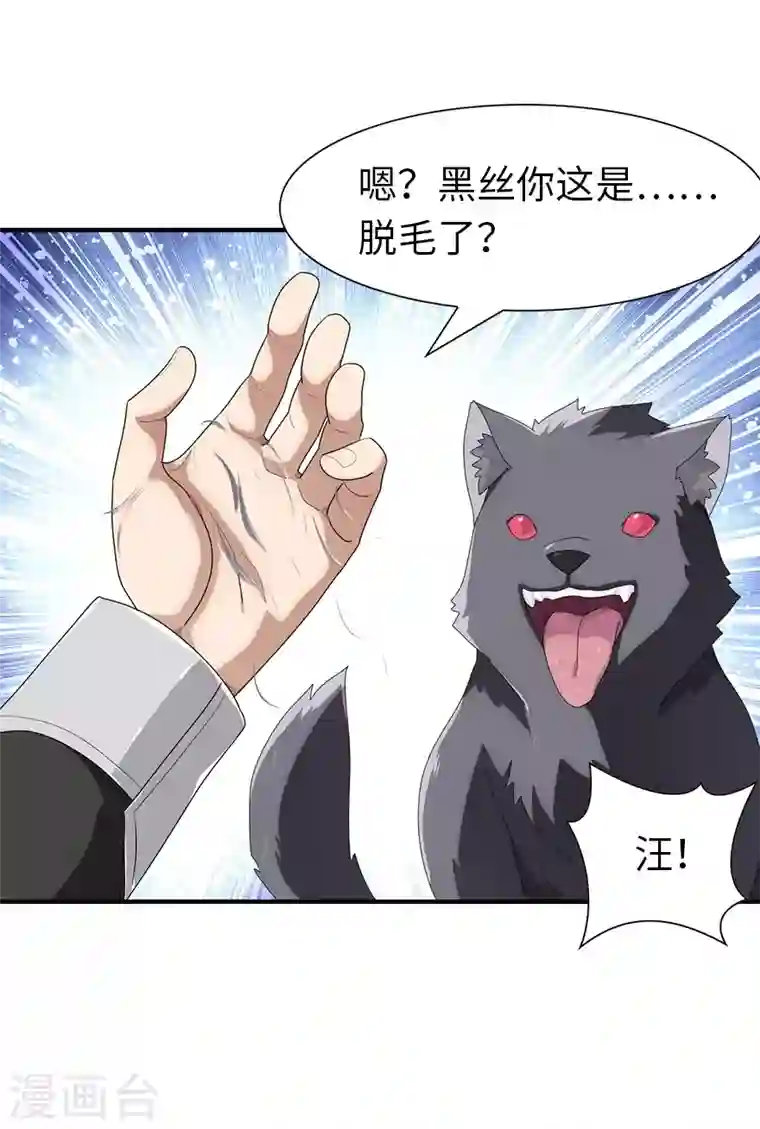 我的守护女友第164话