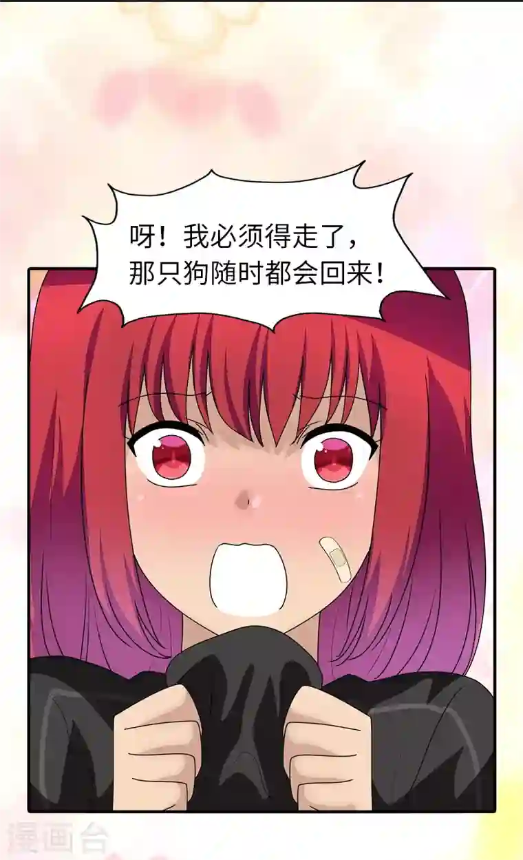 我的守护女友第171话