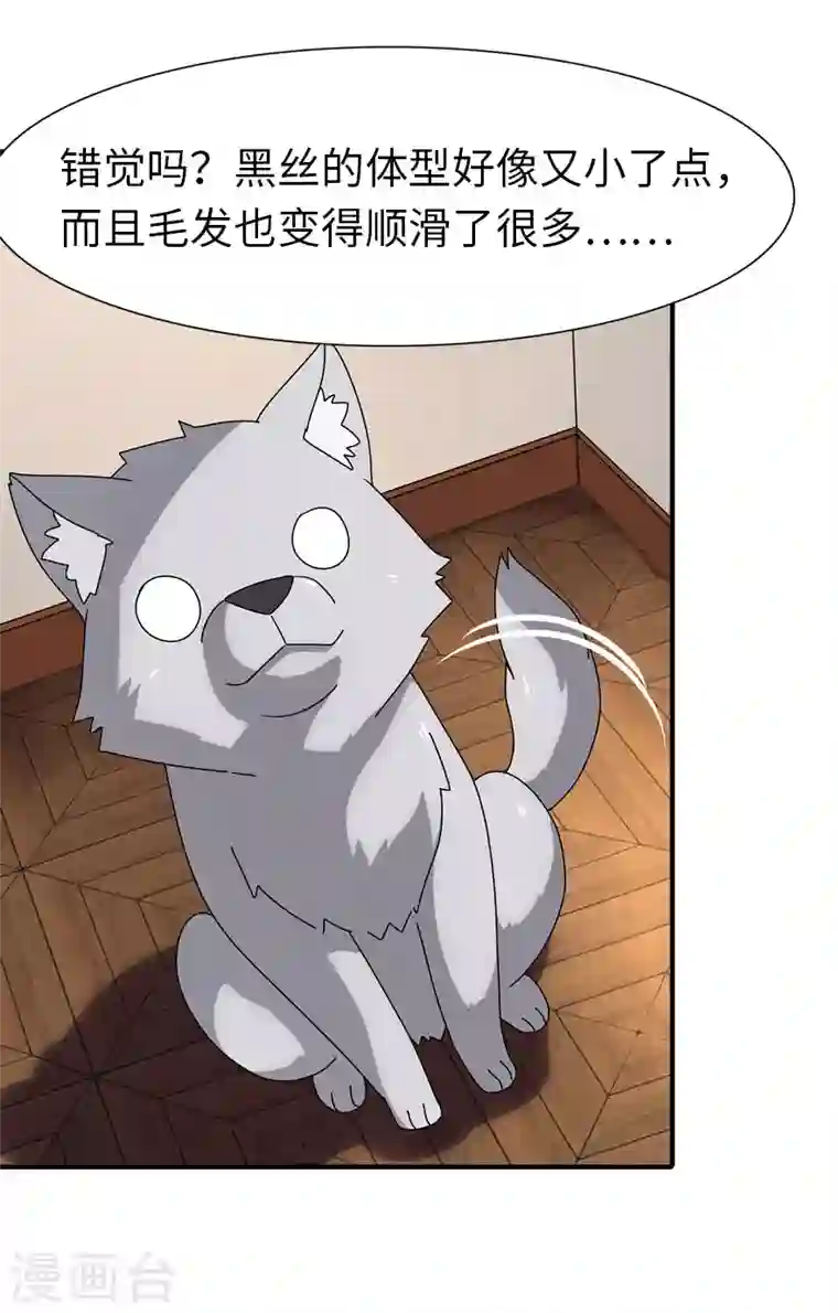 我的守护女友第184话