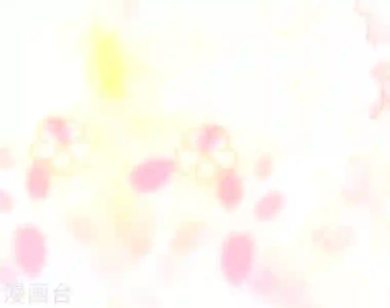 我的守护女友第206话