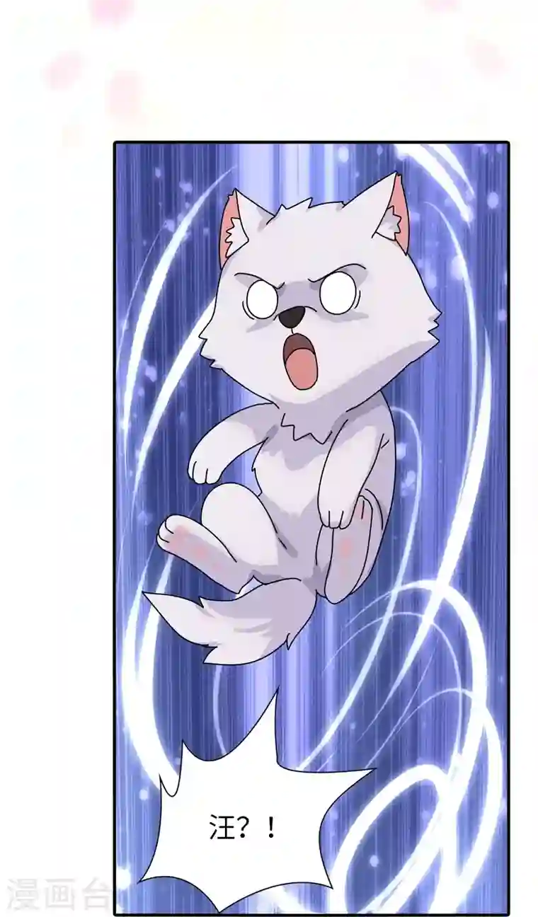 我的守护女友第239话