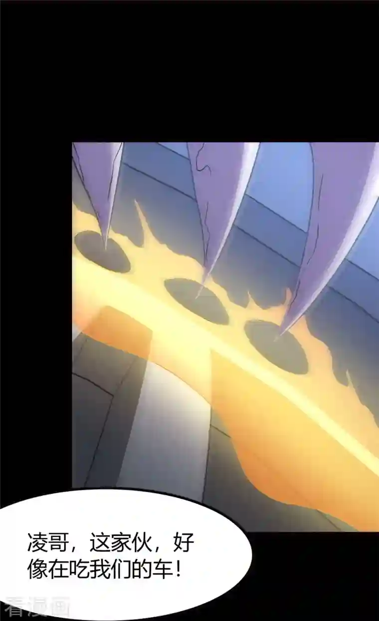 我的守护女友第252话