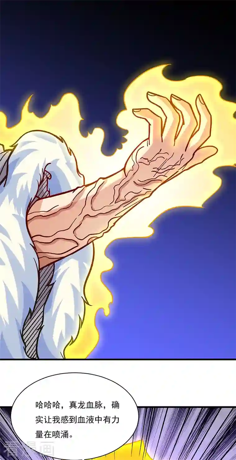 武道独尊第331话 神龙元息