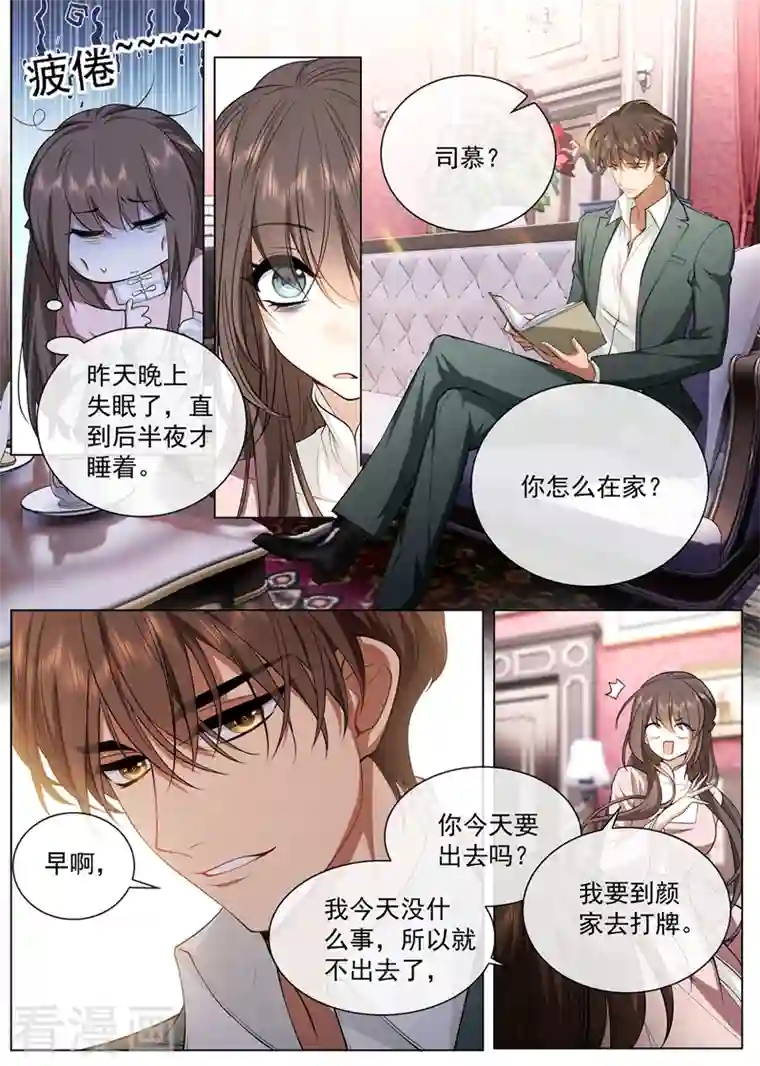 司少你老婆又跑了第419话 你跟他什么也不是！