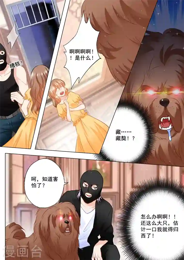 入骨暖婚第97话 闹剧