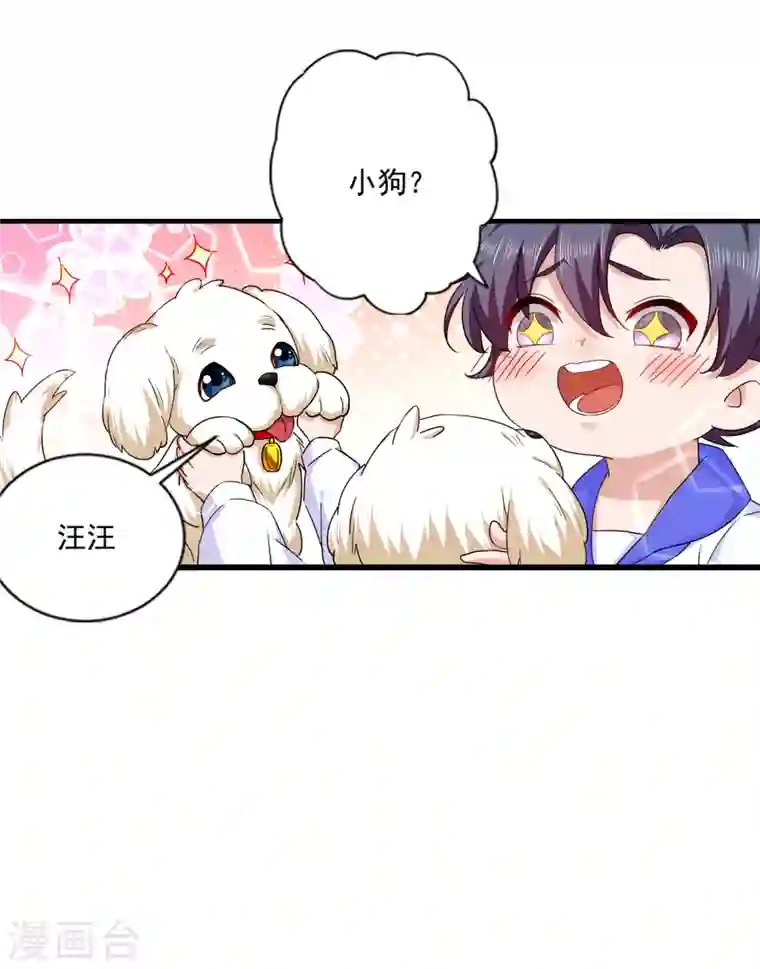 入骨暖婚第368话 我有狗狗啦~