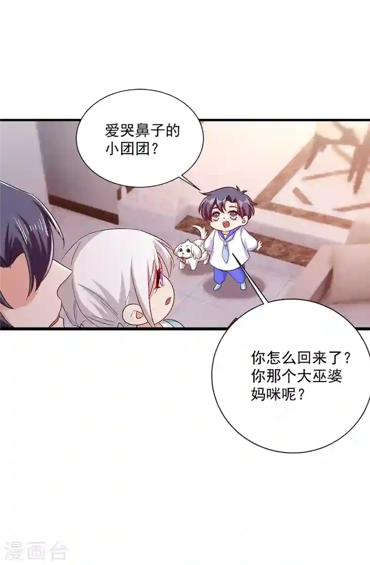 入骨暖婚第369话 团团和我们一起住吧