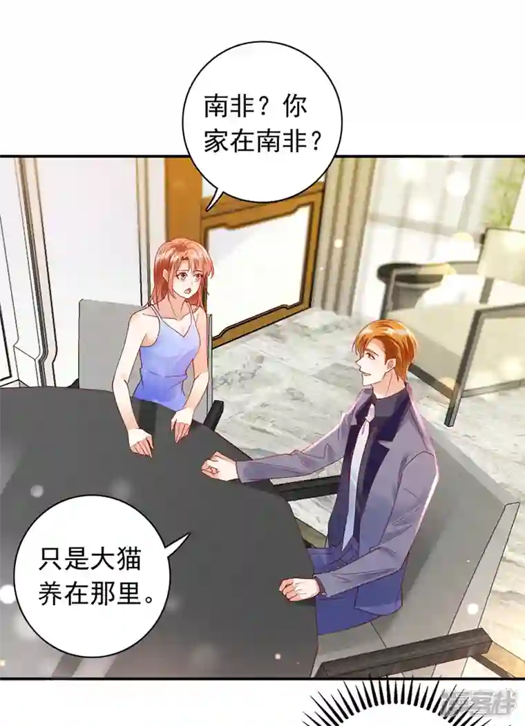 豪门天价前妻第710话 这是……大猫？！