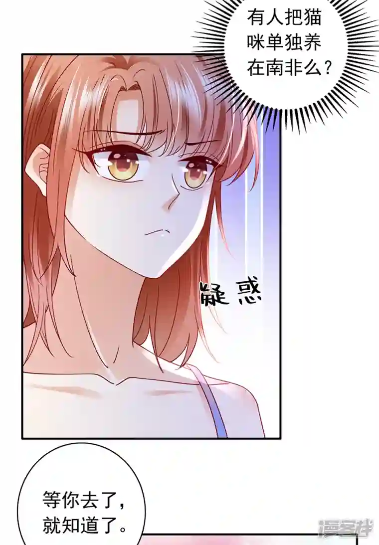 豪门天价前妻第710话 这是……大猫？！