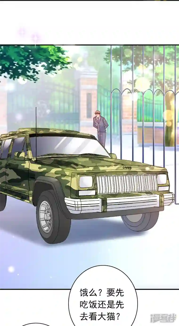 豪门天价前妻第710话 这是……大猫？！