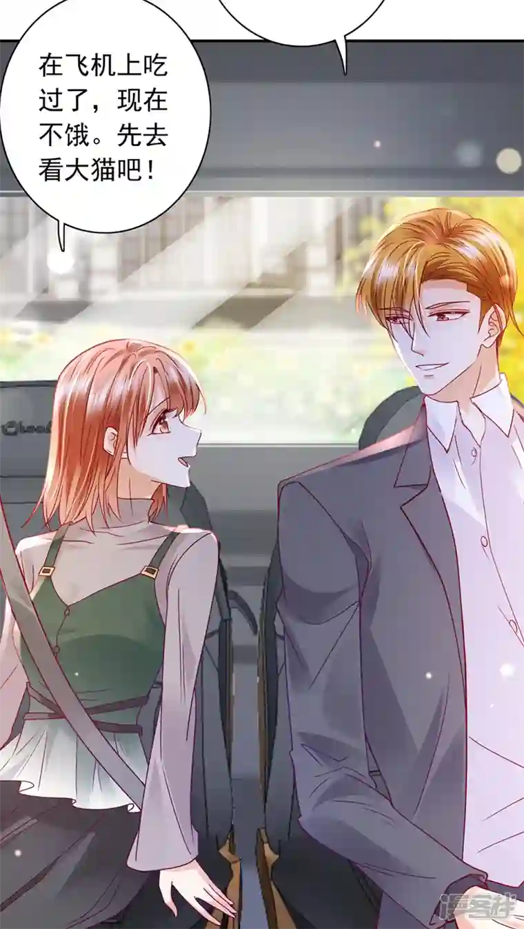 豪门天价前妻第710话 这是……大猫？！