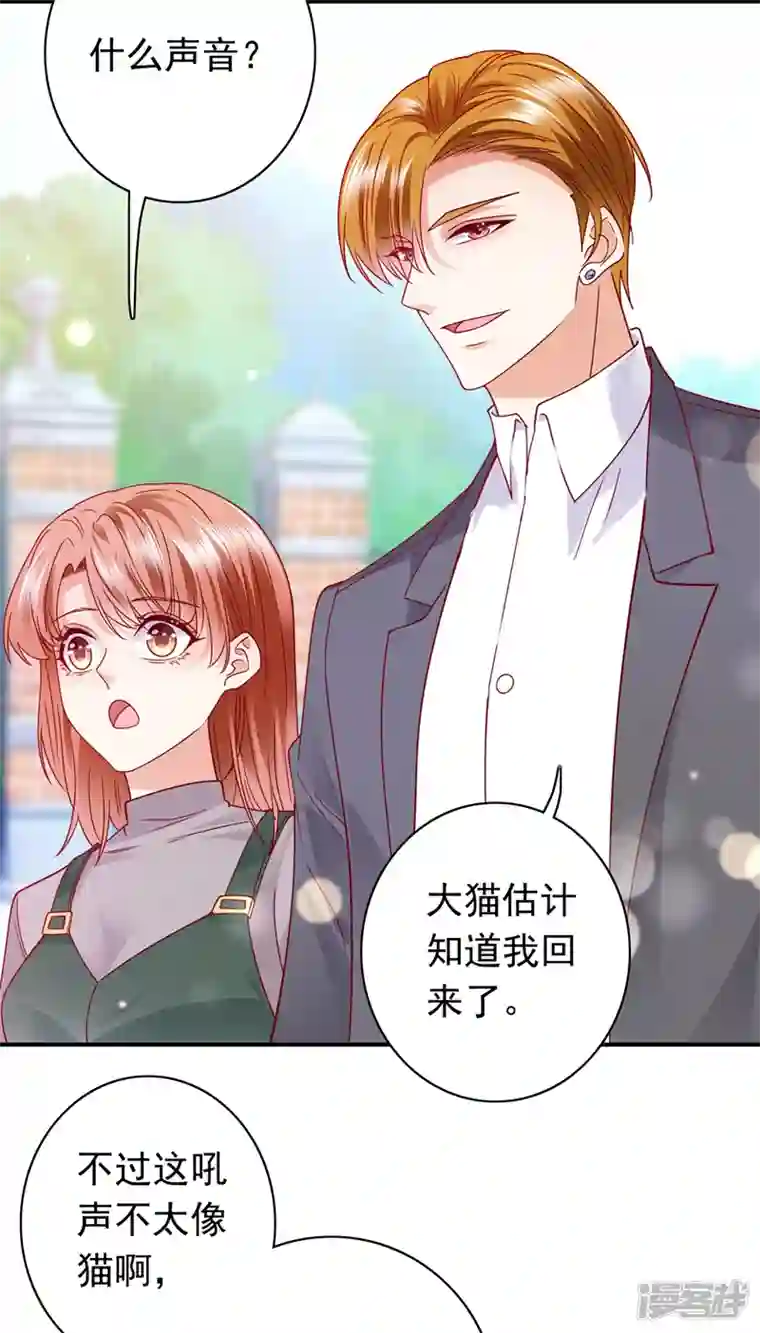 豪门天价前妻第710话 这是……大猫？！