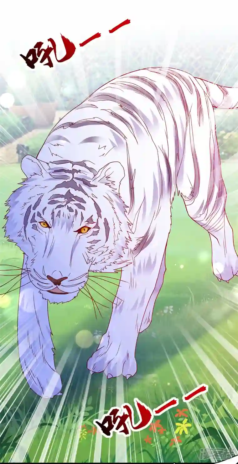 豪门天价前妻第710话 这是……大猫？！