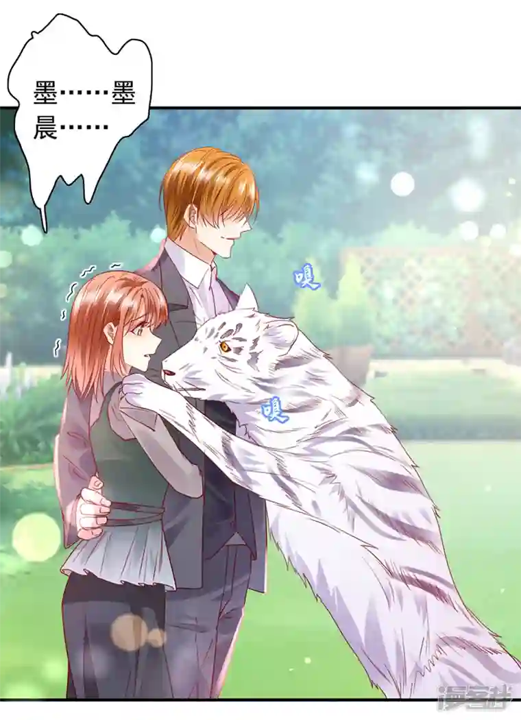 豪门天价前妻第710话 这是……大猫？！