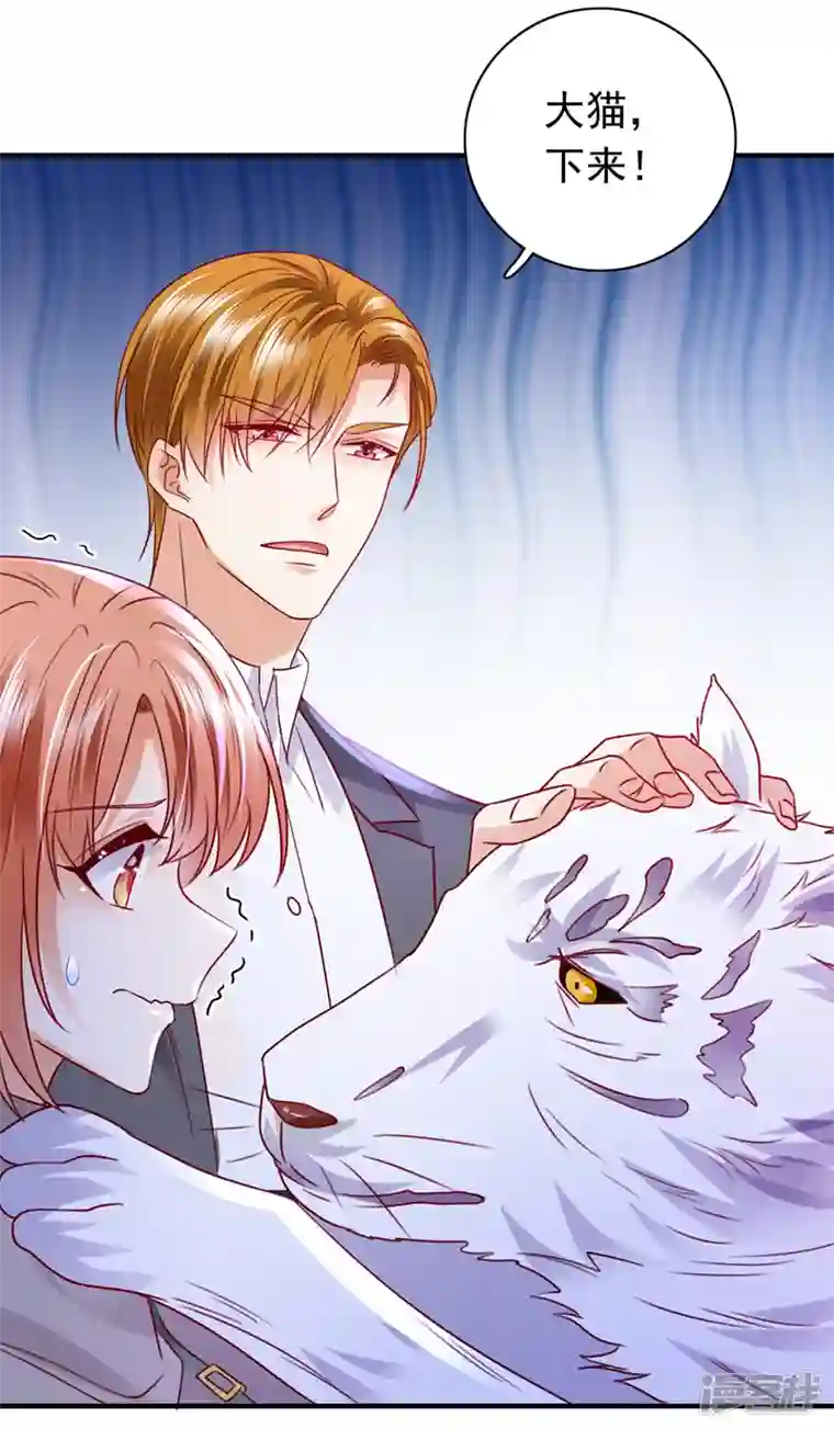 豪门天价前妻第710话 这是……大猫？！