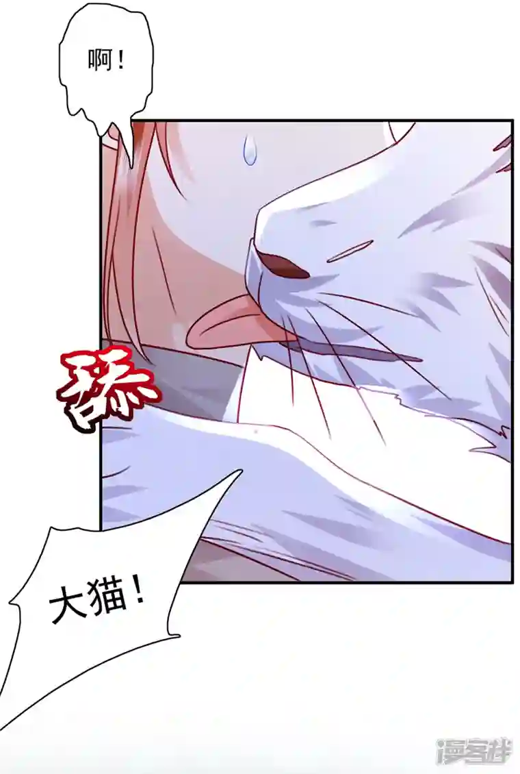 豪门天价前妻第710话 这是……大猫？！