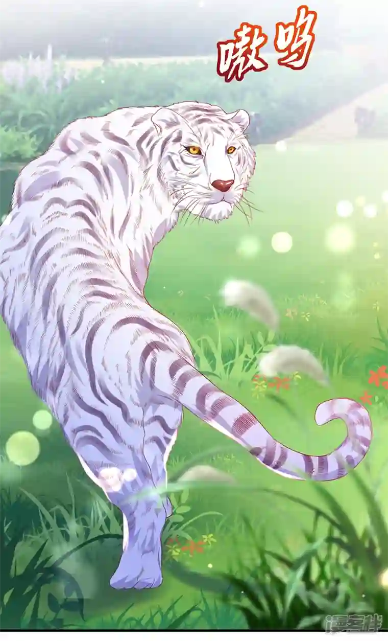 豪门天价前妻第710话 这是……大猫？！