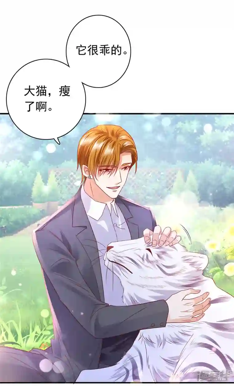 豪门天价前妻第711话 和我一起养大猫吧？