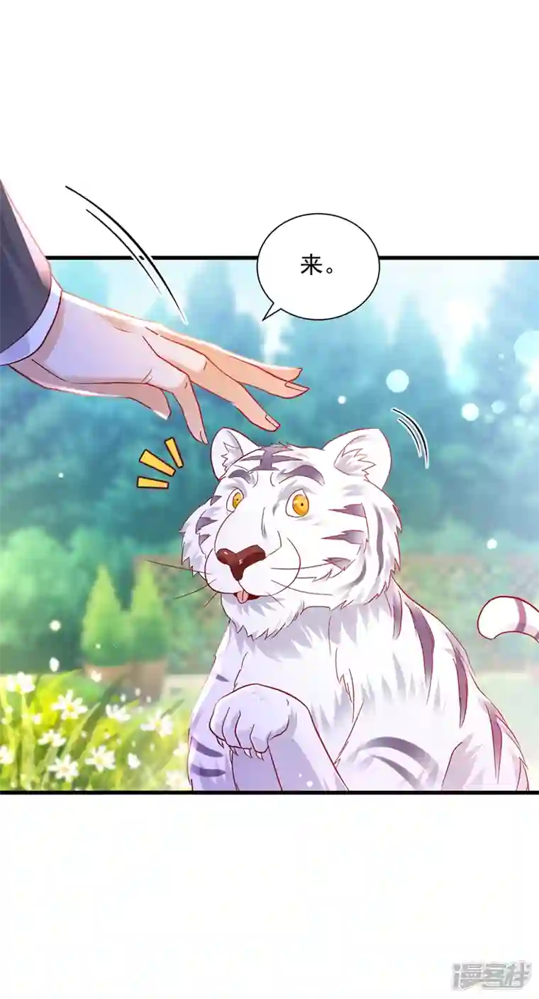 豪门天价前妻第711话 和我一起养大猫吧？