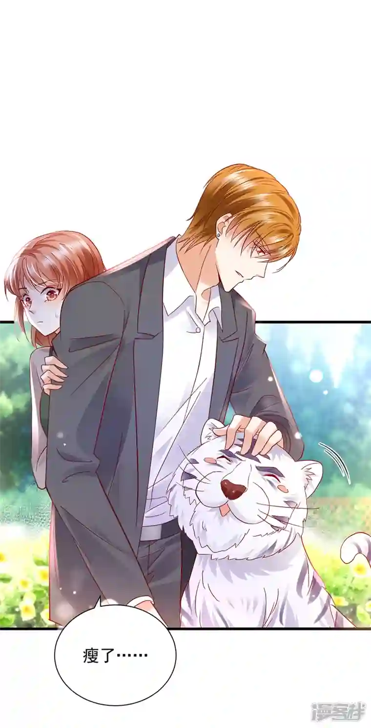 豪门天价前妻第711话 和我一起养大猫吧？