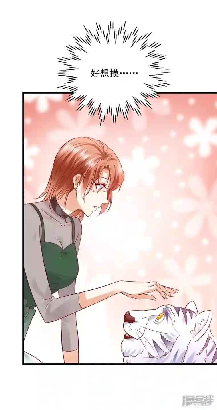 豪门天价前妻第711话 和我一起养大猫吧？