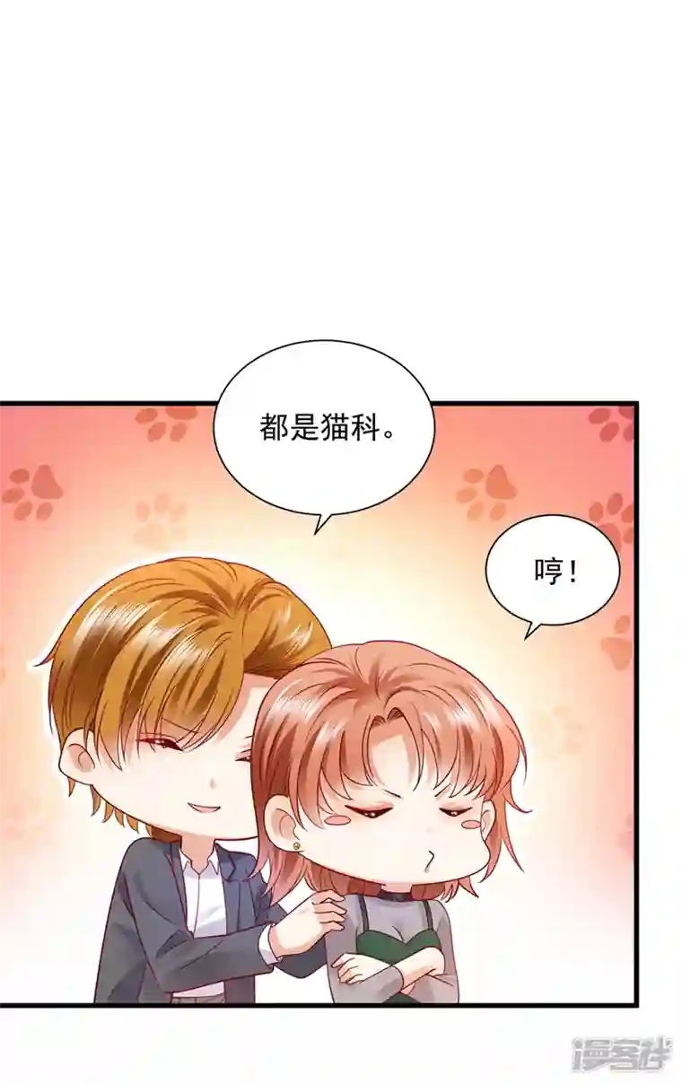 豪门天价前妻第711话 和我一起养大猫吧？