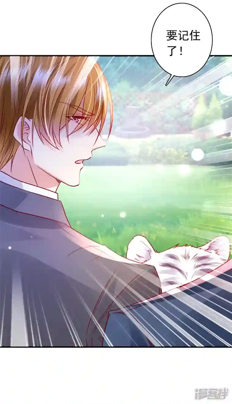 豪门天价前妻第711话 和我一起养大猫吧？