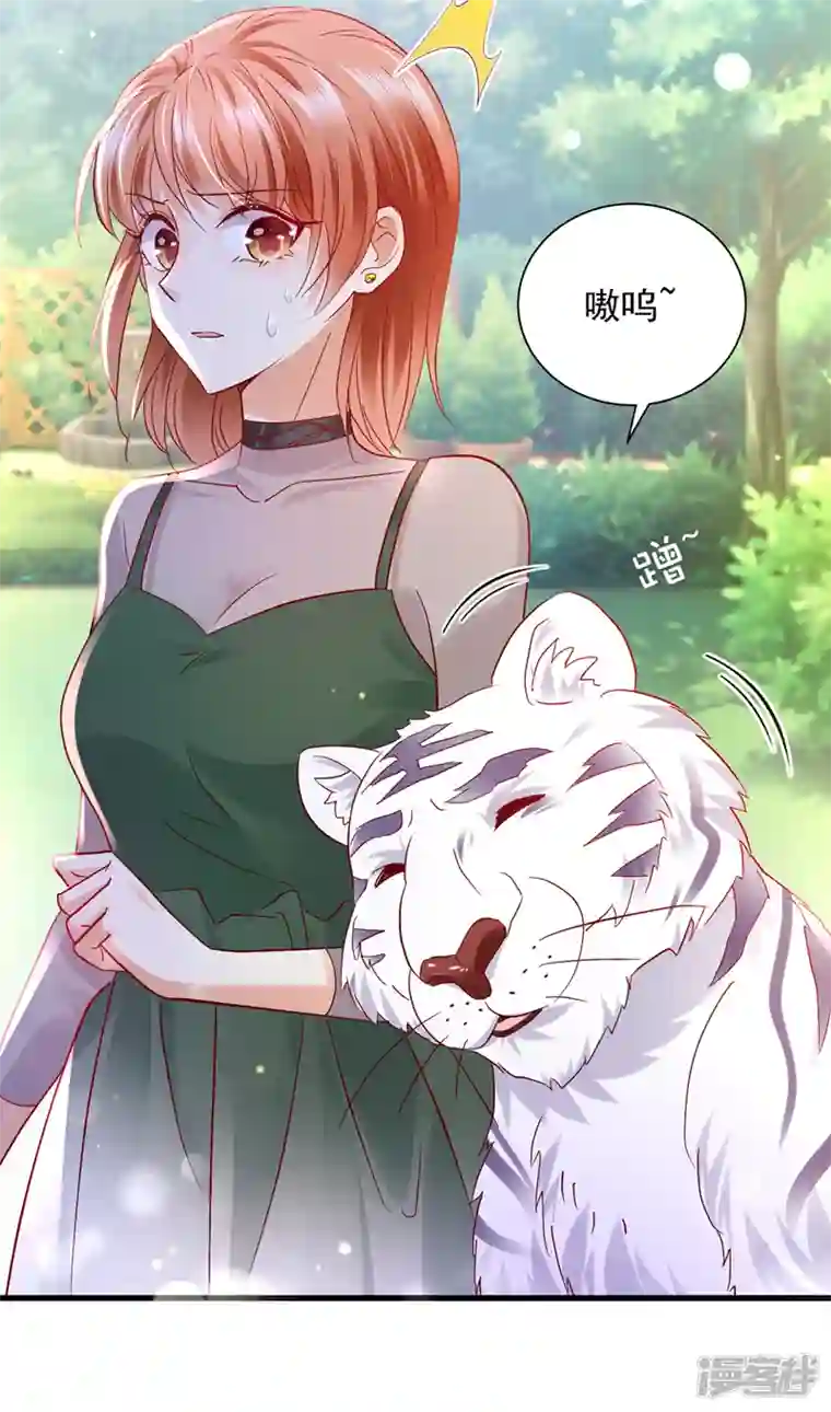 豪门天价前妻第711话 和我一起养大猫吧？