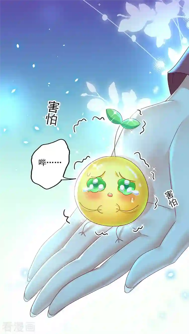 我在异界养男神：神医九小姐第136话 玉种