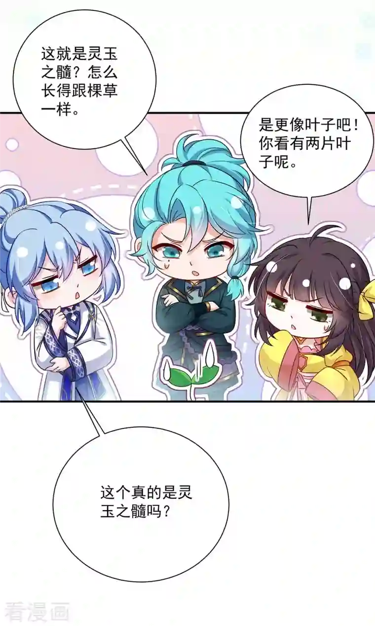 我在异界养男神：神医九小姐第136话 玉种