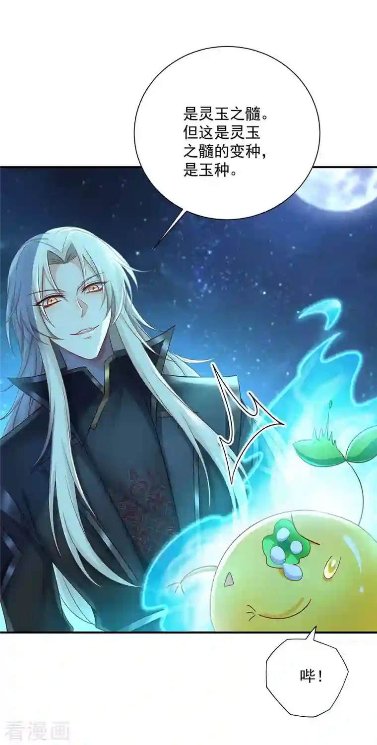 我在异界养男神：神医九小姐第136话 玉种